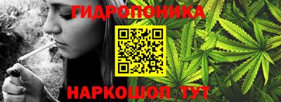 PSILOCYBIN Гай