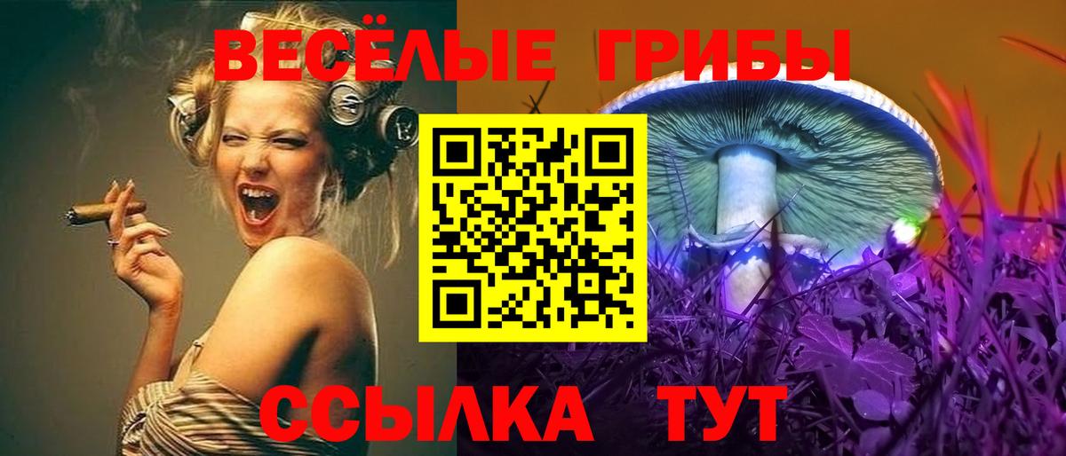 купить наркотики цена  Вход с VPN  Мурманск  Псилоцибиновые грибы Psilocybine cubensis 
