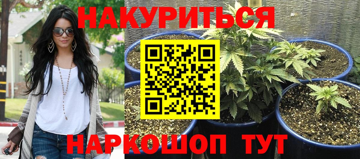 Бошки марихуана OG Kush  Конопля Bruce Banner  Вход с VPN  Конопля Amnesia  Мурманск 